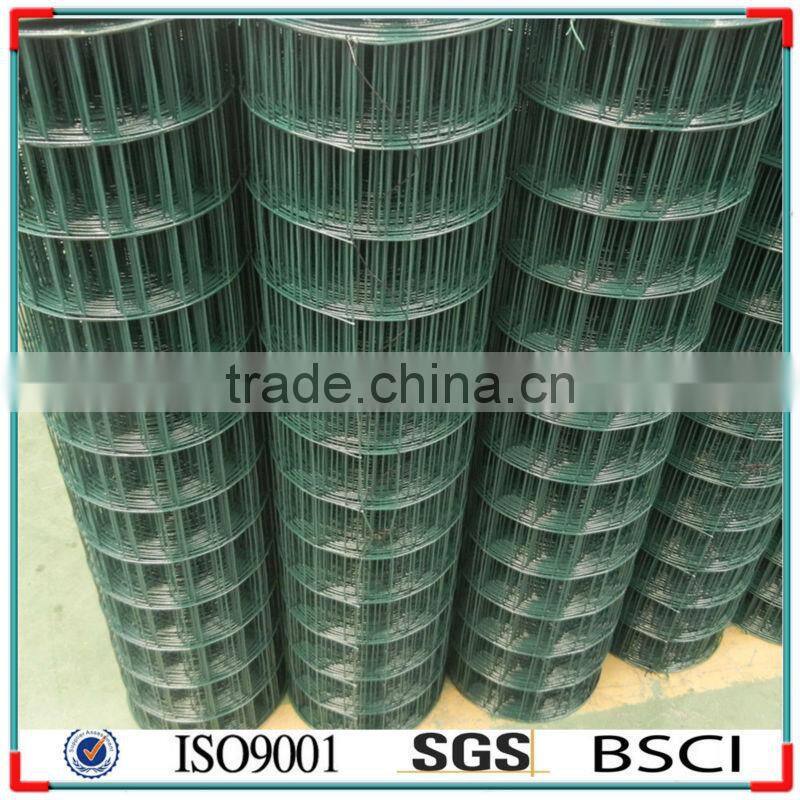 ELECTRO GALVANIZED WELDED MESH 50x50