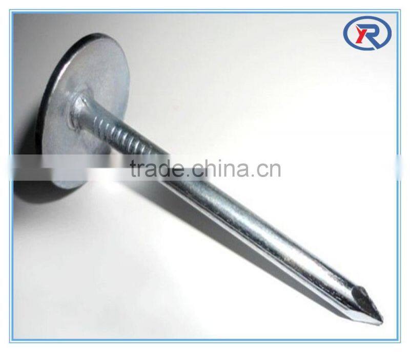 Galvanized Umbrella Head Roofing Nails With Smooth/Twist Shank by Low Price