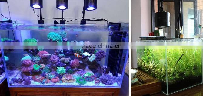 anti-skidding reef aquarium led with price