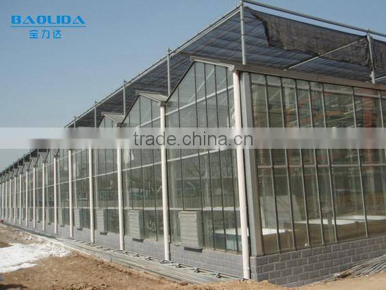 Commercial Glass victorian panel clips