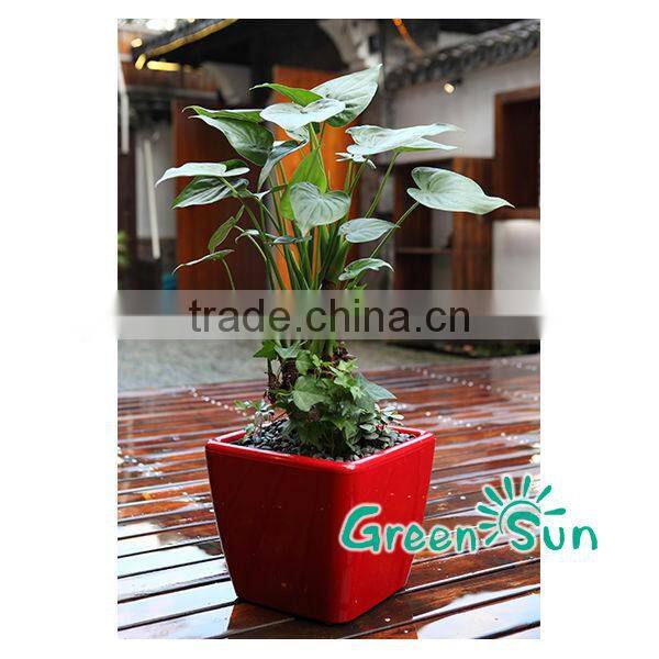 RA2825 Small Plastic Flower Pots,Green Environmental Plastic Flower Pot,Desktop Decorative Flower Vase