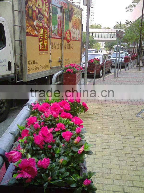 Big square flower pot