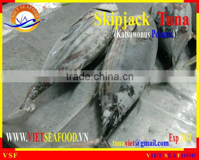 FROZEN W/R SKIPJACK TUNA
