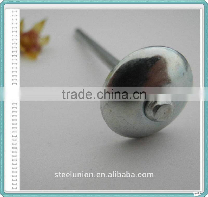 BWG9 BWG10 Export to Africa and Myanmar Indonesia E-galvanized Umbrella Head ROOFING NAILS