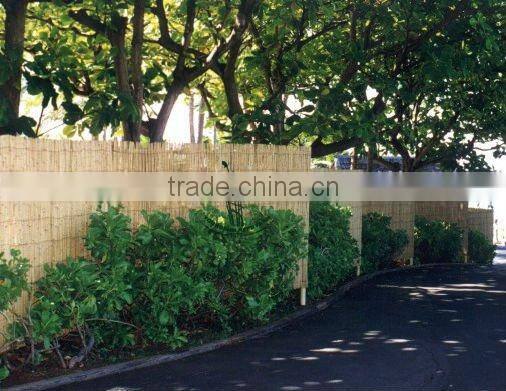 natural reed screening for gardening