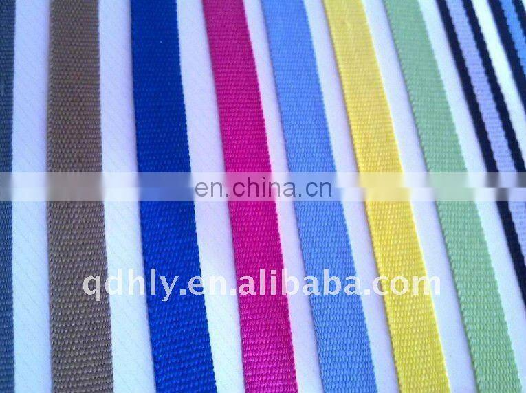 fashion design polyster webbing with buckle