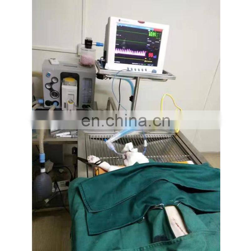 HC-R006 Hot sales Medical Clinic Veterinary portable anesthesia machine for animals