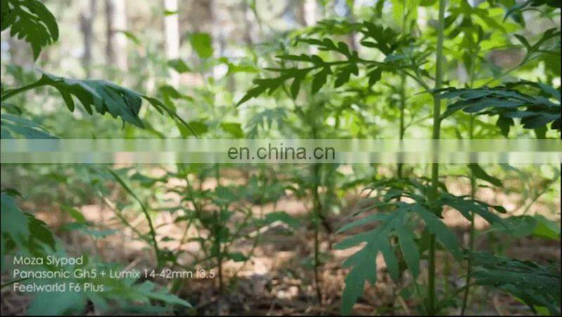 MOZA Slypod Pro Motorized 3-In-1 Monopod Tripod Slider for DSLR Camera Gimbal Stabilizer