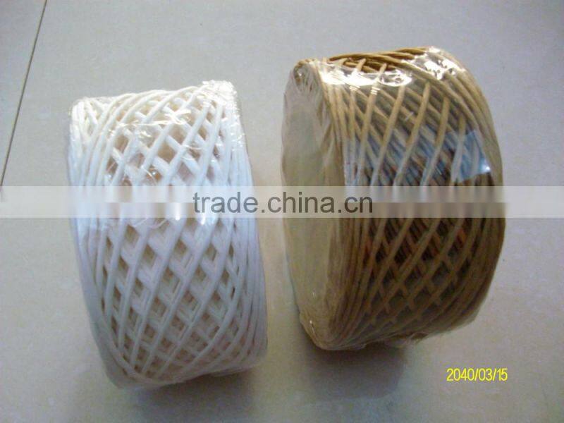 China supplier PE twine/rope