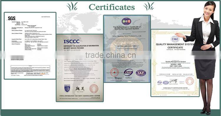 High Quality PVC Coated Flat Double Wire Fence / Rigid Panel Mesh Fence