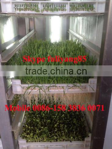 Hydroponic fodder for animal husbandry