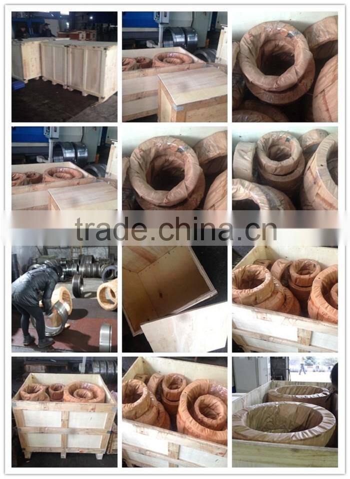 Ring Die for Pellet Mill/Machine