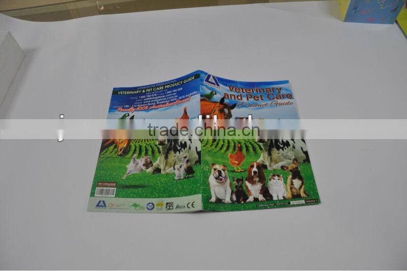 Chinese custom design primary school pamphlet paper printing servieces online