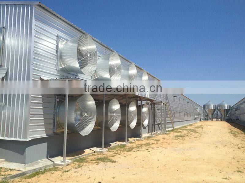 galvanized metal chicken house design for poultry farm