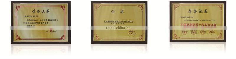 OEM aluminum Pivots Hinge with ISO certification