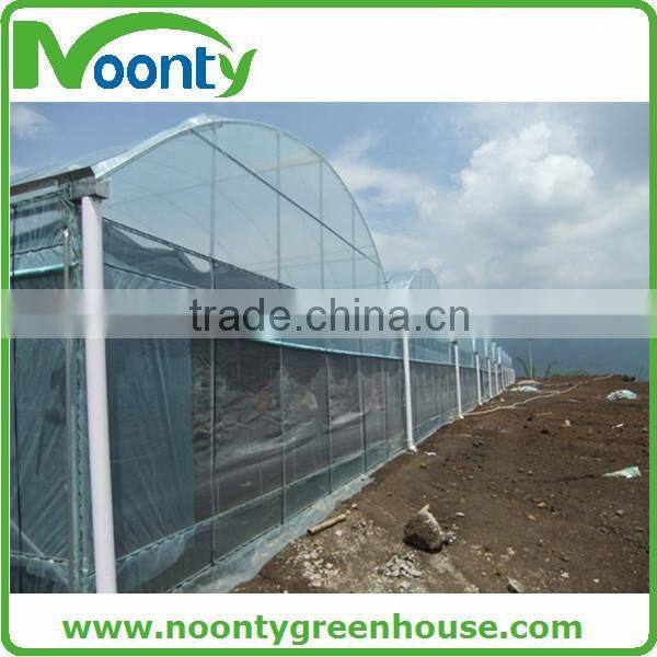 Spanish Style Film Greenhouse