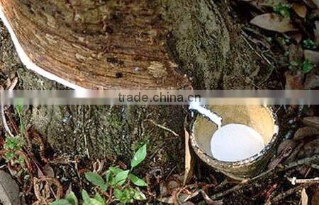 High quality Rubber band size 018 EX/ Natural rubber from Viet Nam HOT!!!!!