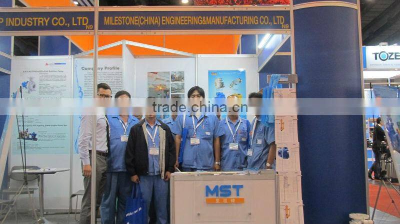 Heavy Duty Industry Mining hydraulic gear pump