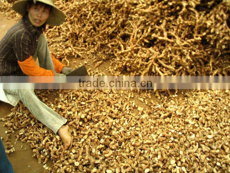 Guangdong Dried Galangal Roots