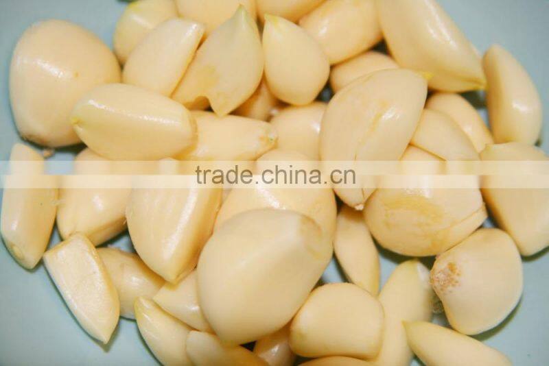 2016 Hot Sale! VSN3000-L600G Monochrome Peeled Garlic Belt Color Sorter With Blue Light