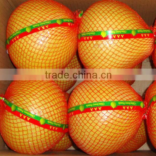 Fresh GuanXi top grade pomelo