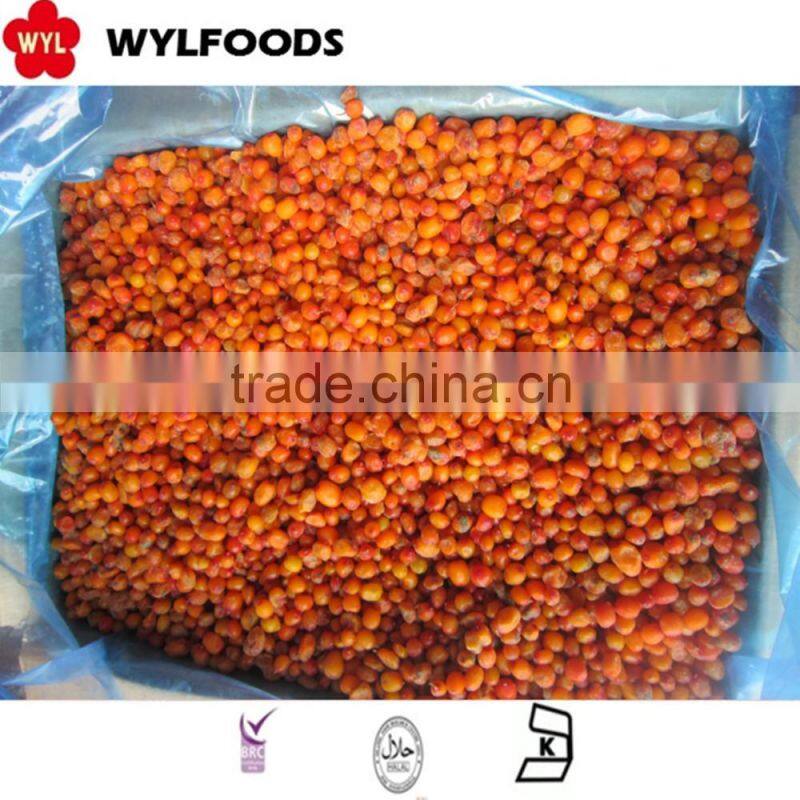 2016 best qualiety IQF frozen summer truffle