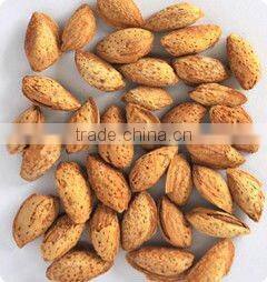 CCD almond with color sorter machine