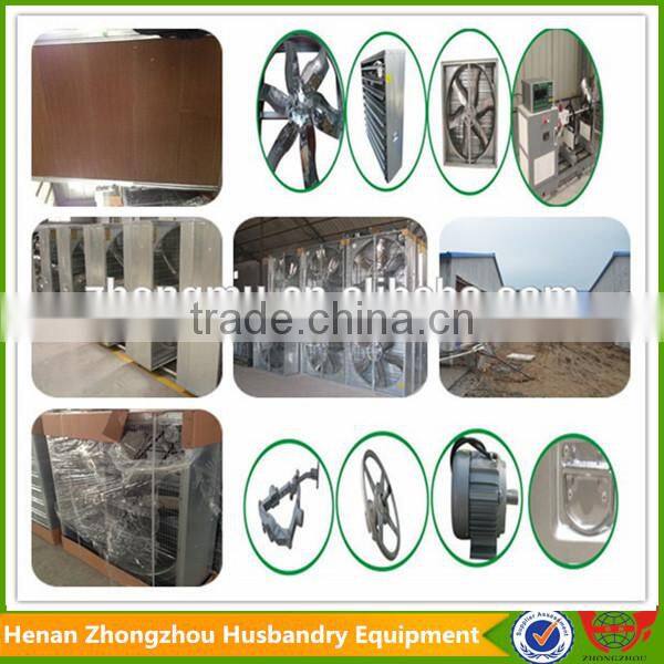 Chicken farm popular use automatic poultry manure belt removing system