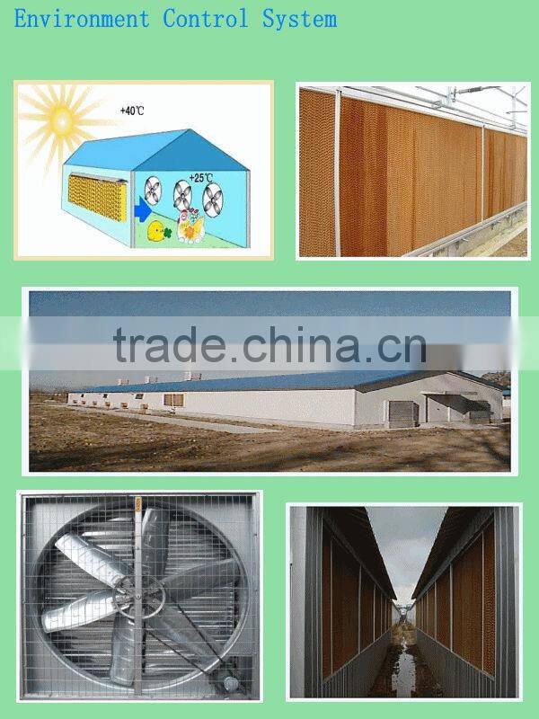 produced by professional manufacturer auto broiler chicken cage