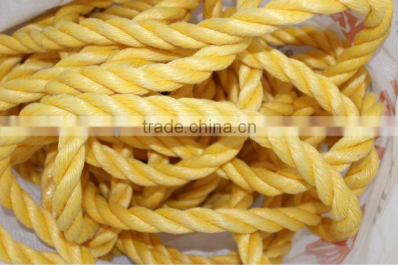 20mm diameter pp danline rope