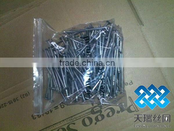 Low price polished/galvanized common nails(factory)