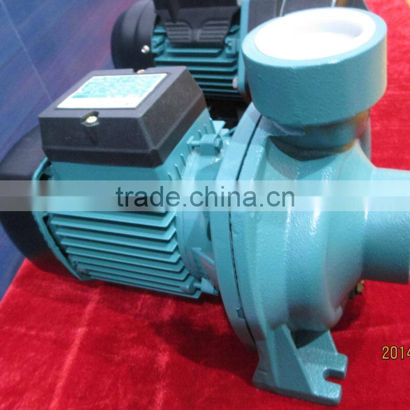 Cast iron centrifugal single phase electric water IP44 pump THFm 75