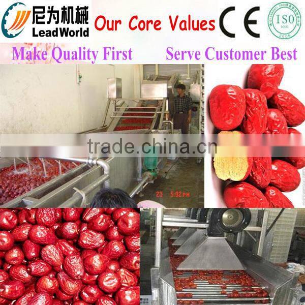 Commercial Fruit Drying Machine / Fruit Mesh Belt Dryer