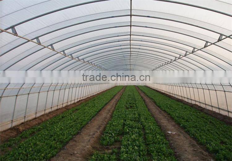 PE film coverd plastic tunnel greenhouse used for vegetables and fruits