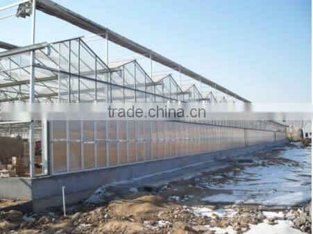 Foreign customber design commercial greenhouse for sale