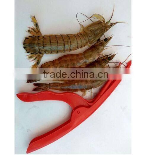 CY125 Shrimp Deveiner and Peeler Prawn Seafood Shell Curved Peeler