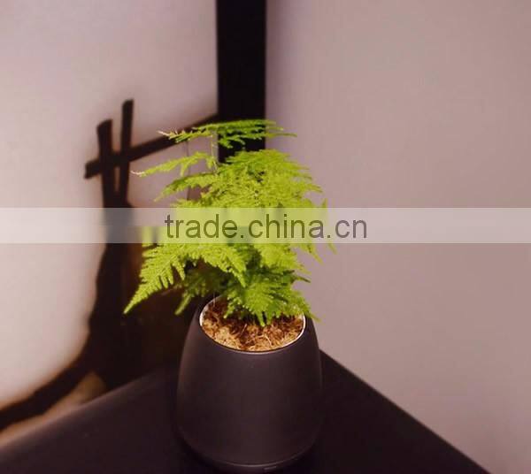 Multi-fucntional Ionic Air Purifying Flower Pot Air Detector