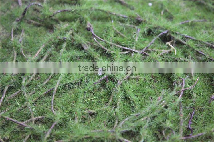 man made thick moss carpet moss foam products flocking wall