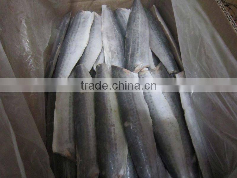 frozen spanish mackerel fillets