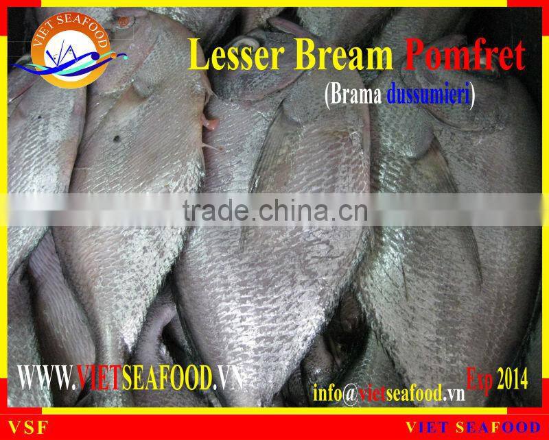 FROZEN W/R LESSER BREAM POMFRET
