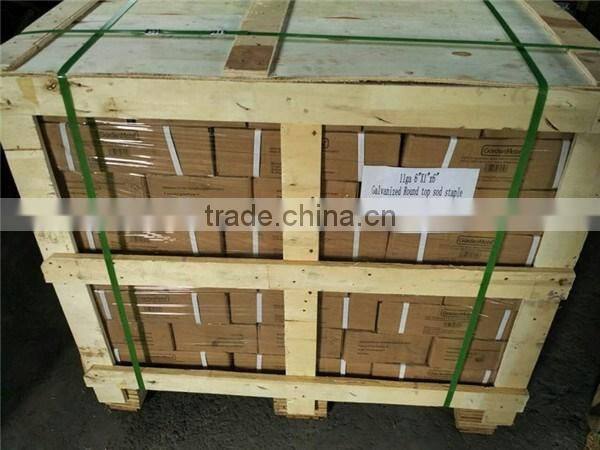 100 Count 6" Landscape Fabric sod Staples