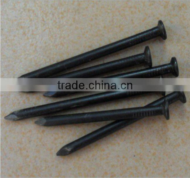 polishing common iron round nail