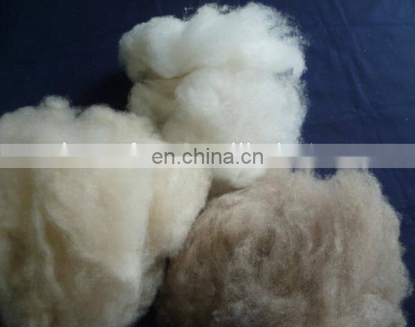 High Quality Chinese Sheep Wool Open Tops 19.5mic/44mm