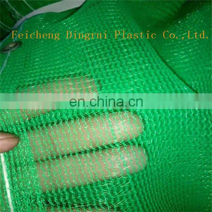 High Quality Plastic Mesh Scaffold Safety Net/Dust Protection Net