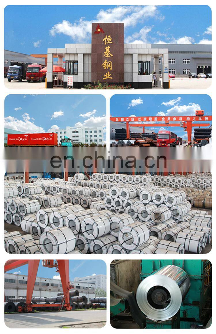 Pre painted Galvanized Steel Coil shandong PPGI decking sheet