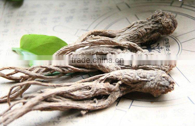 Angelica,Angelica sinensis,Chinese angelica,Food seasoning