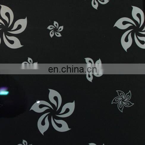 TITANIUM MIRROR WITH BACK PAINTED