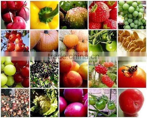 automatic vertical weighing and packaging machine for fennel seed