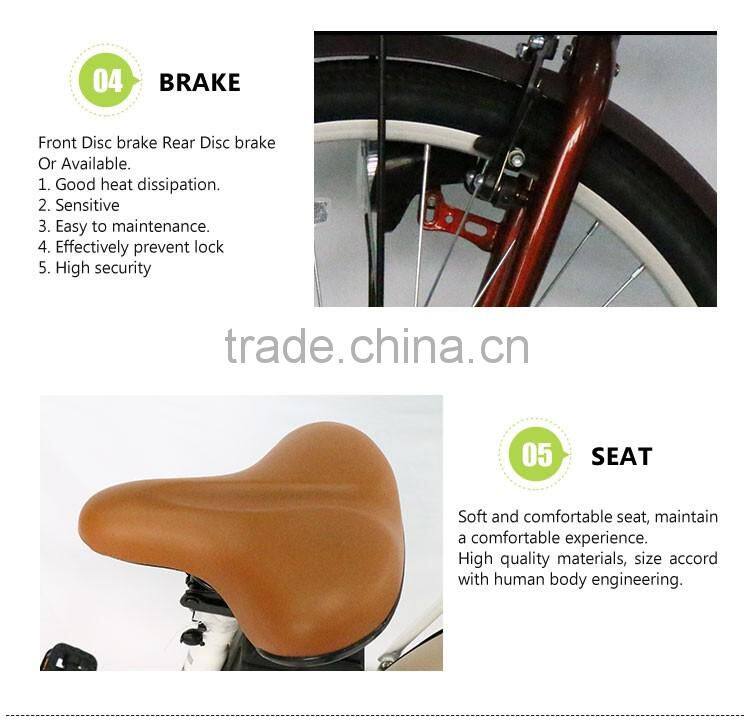 36V Adult Electric Bike For Sale