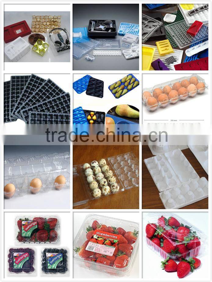 Good Price Automatic Blister Forming Machine/Blister Machine